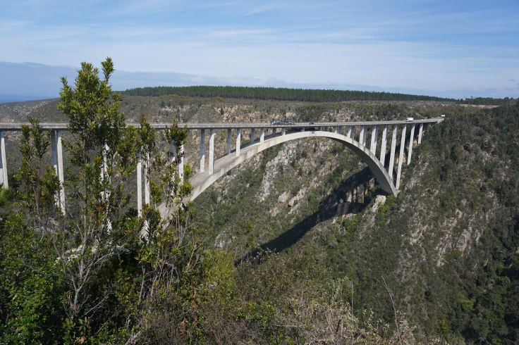 Bungy Jump South Africa